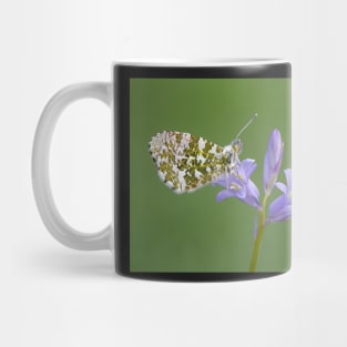 Two Orange Tip Butterflies on a Bluebell Flower Mug